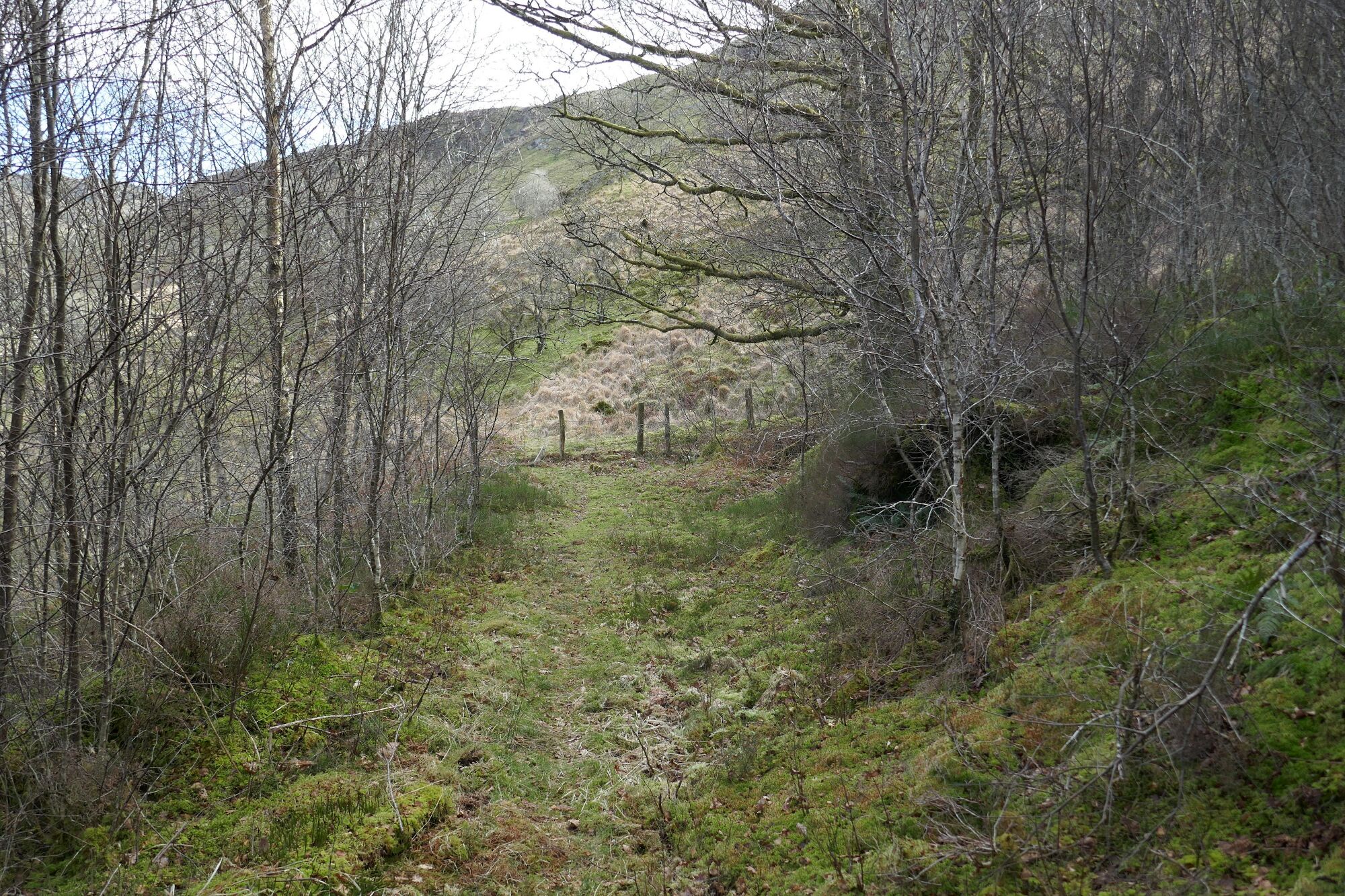 RachelSeabrook.net | Wild Walking | Cwm Cyneiniog and Craig y Pistyll | pic06